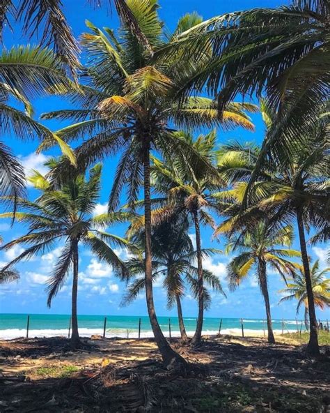 Praia do Paiva: conheça o paraíso de Cabo de Santo Agostinho